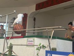 -南戴河国际娱乐中心