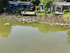 -林丰温泉度假山庄