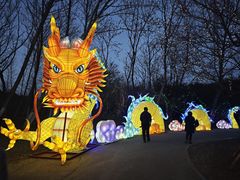 -梁鸿国家湿地公园