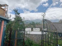 -喵屿·大理花园猫咖