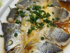 -渔意楼·驰名沙田乳鸽(五羊店)