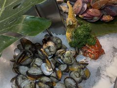 -沈阳和平艾美酒店新食谱西餐厅