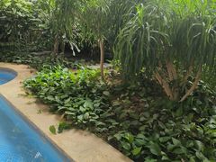 -中家鑫园温泉酒店鑫悦汤泉