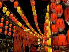 -国色天乡三期陆地乐园