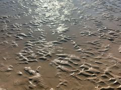-日照海滨国家森林公园