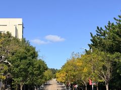 -山东大学(威海校区)