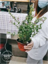 -阿兵荣辉美容理发有限公司