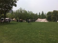 -长兴太湖图影湿地文化园