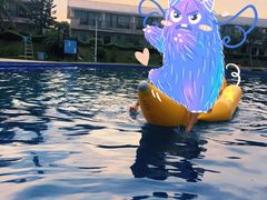 -那琴半岛地质海洋公园