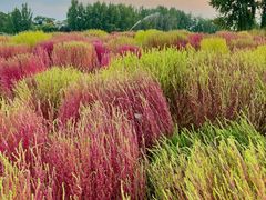 -汉长安城未央宫国家考古遗址公园