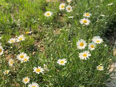 -济南国际园博园