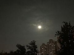 -新影联·华谊兄弟影院(望京店)