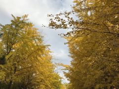 -辽宁大学(崇山校区)