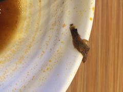 iphone_upload_pic-顺溜削面(大王路店)