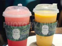 -野萃山·潮汕厚果汁(十亩地店)