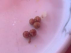 -马白开来特色羊排揪片子  (总店)