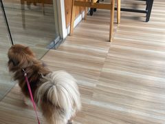 -LIFE'S拉啡斯(客天下·君临长安店)