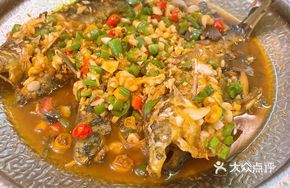 Green Pepper Yellow Catfish