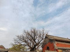 -泰山风景名胜区