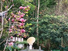 -深圳国际园林花卉博览园