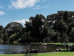 -墨尔本皇家植物园