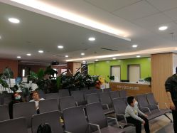-上海交通大学医学院附属上海儿童医学中心(陆家嘴总院区)