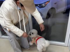 -宠福鑫康馨动物医院·骨科·眼科