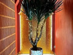 -泰迦 泰式古法抓胧筋水疗SPA