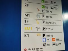 -虹桥综合交通枢纽-P6停车库