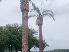 -上海月湖雕塑公园