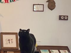 -春风十里咖啡馆