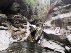 -黑河国家森林公园