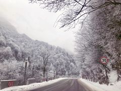 -秦岭风景区