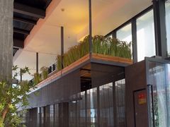 -拈菜(观音桥阳光世纪店)