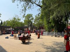 -大槐树寻根祭祖园