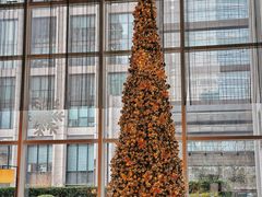 -北京康莱德酒店