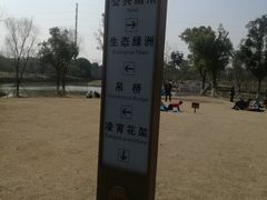 -九科绿洲
