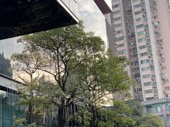 -广州天河希尔顿酒店