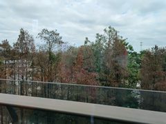 -寻味顺德·珍之宝酒楼(银钻店)