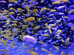 -成都浩海立方海洋公园