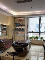 -碧莲盛·不剃发植发