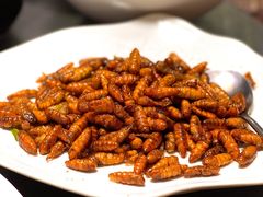 蚕蛹-东鸽皇(奥园·中环广场店)
