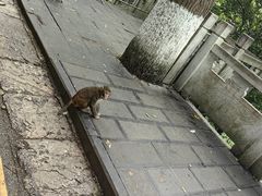 -黔灵山公园-南门售票处