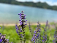 -北京金海湖景区
