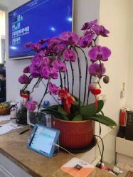 -Hair ART造型沙龙