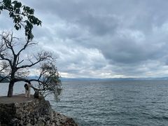 -抚仙湖禄充风景区