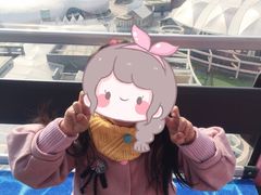 -琴岛之星摩天轮