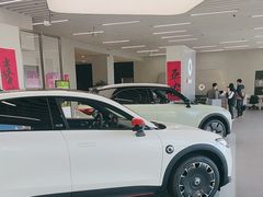 -上海浦东smart汽车全功能店(金桥店)