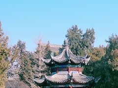 -洛阳白马寺
