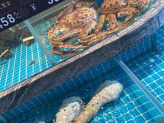 -百富源·海鲜辽菜(张士店)